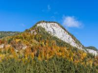 Freiliegende Felswand über leuchtendem Herbstwald